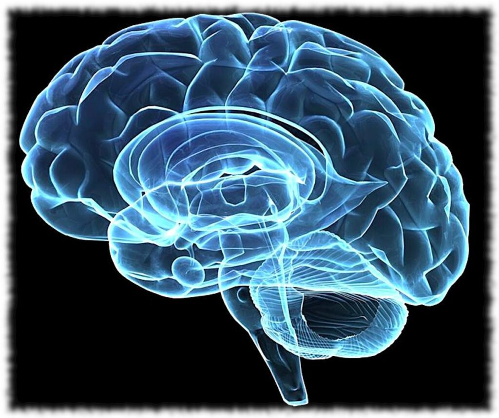 Всемирный день мозга