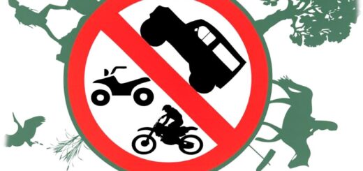 Всесвітній день без автомобіля